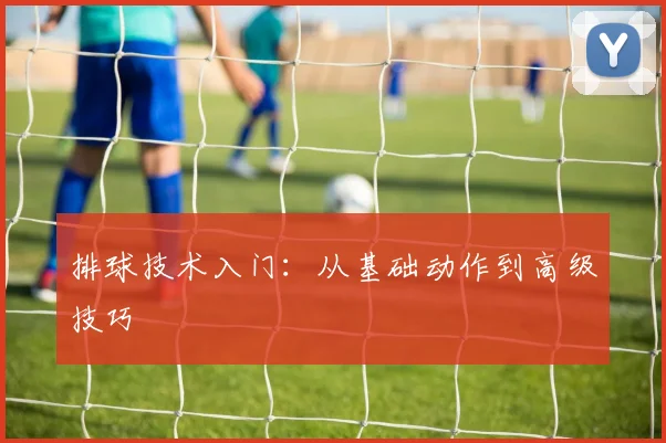 排球技术入门:从基础动作到高级技巧