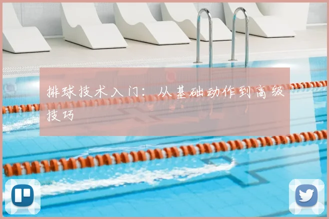 排球技术入门：从基础动作到高级技巧