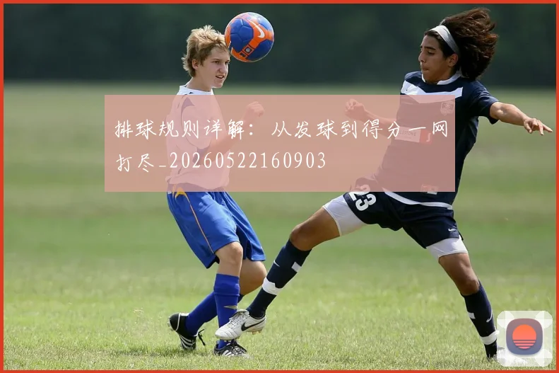 排球规则详解:从发球到得分一网打尽_20260522160903